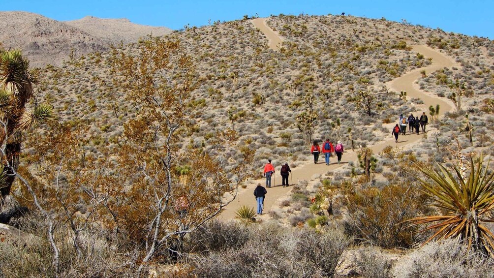 A group of hikers on a desert trail with sparse vegetation and a mountain in the background. 2