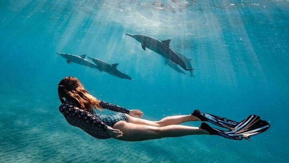 A person swimming with dolphins in clear blue water. 1