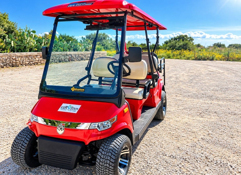 A red golf cart with a canopy, parked on a gravel surface with greenery and mountains in the background. 3