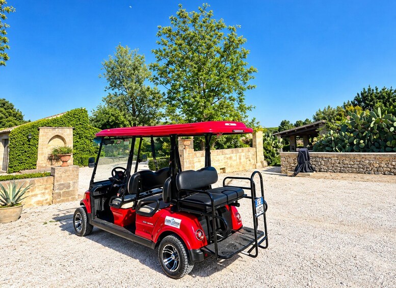 A red golf cart parked on a gravel surface with a stone wall and greenery in the background. 2
