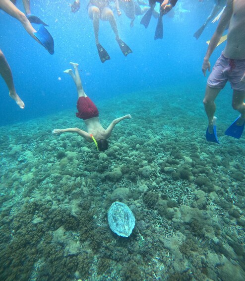 Picture 12 for Activity Gili Trawangan:Snorkeling Trip Public Sharing 4 Hours 5