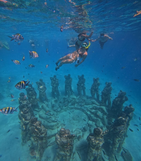 A diver exploring an underwater site with coral formations and marine life. 5