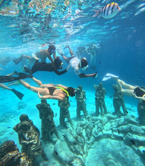 Picture 14 for Activity Gili Trawangan:Snorkeling Trip Public Sharing 4 Hours 3