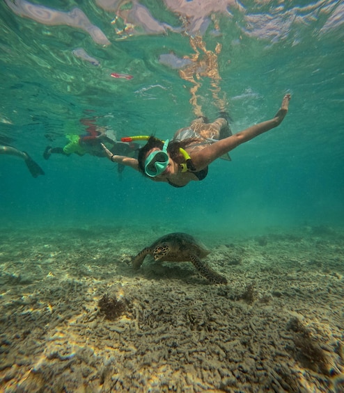 A diver swimming underwater with a sea turtle on the ocean floor. 3