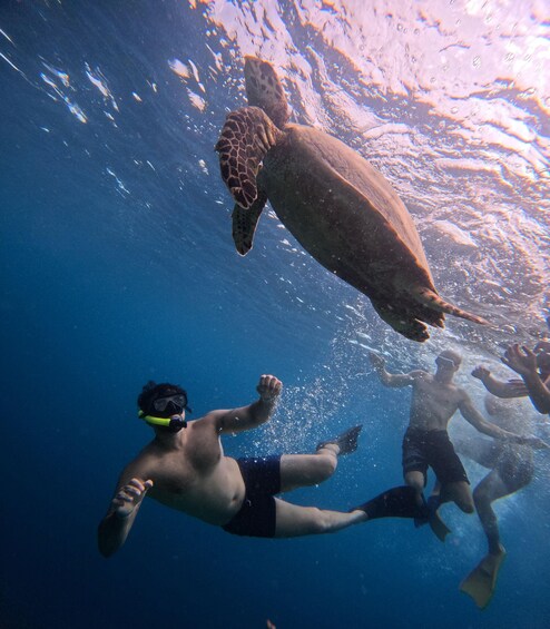 Picture 15 for Activity Gili Trawangan:Snorkeling Trip Public Sharing 4 Hours 4