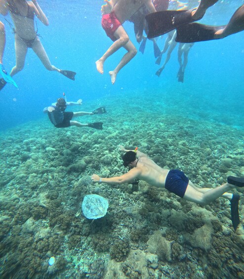 Picture 13 for Activity Gili Trawangan:Snorkeling Trip Public Sharing 4 Hours 2