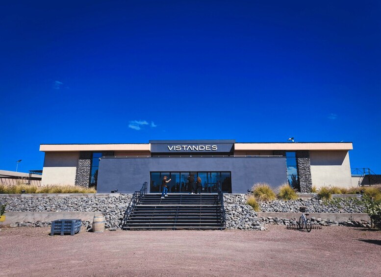 A modern building named 'VISTANDE'S' with a stone facade, large windows, and a clear blue sky. 4