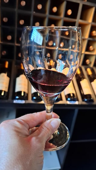 A hand holding a wine glass with red wine, in front of a wine rack with bottles. 1