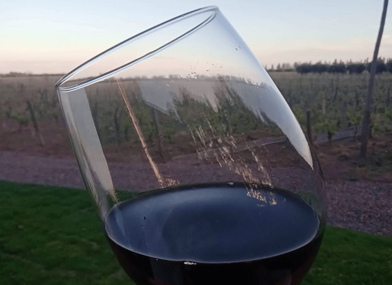 A wine glass with a vineyard in the background. 3