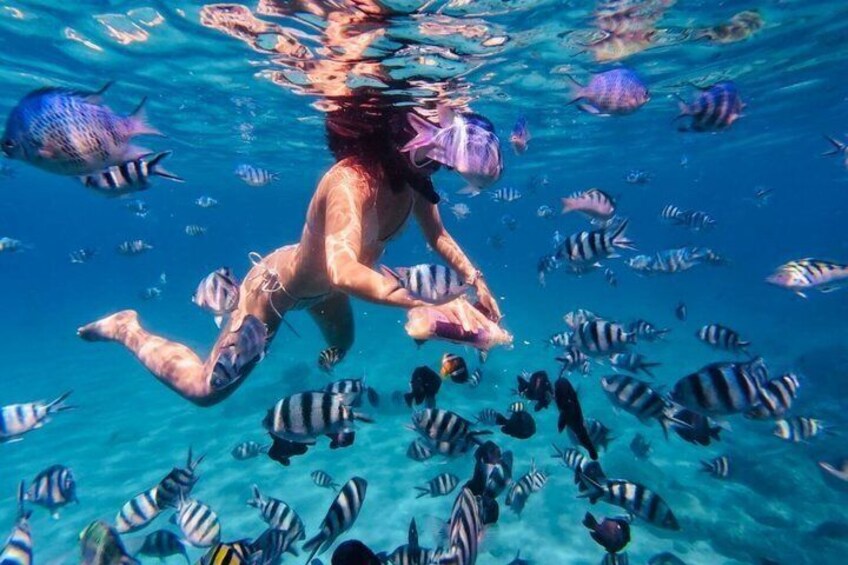 Una persona nadando bajo el agua rodeada de peces tropicales. 2