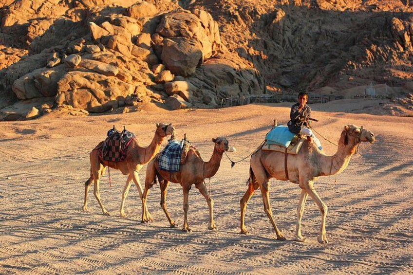 ATV Quad Bike, Buggy & Camel Ride – Echo Mountain Sharm El Sheikh 2