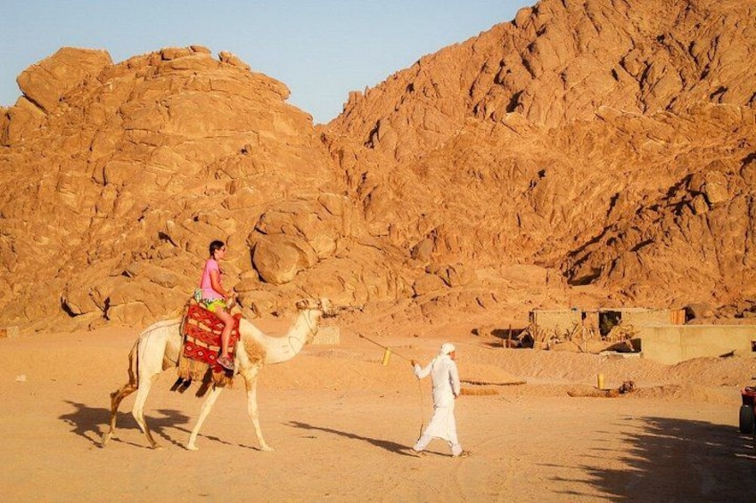 ATV Quad Bike, Buggy & Camel Ride – Echo Mountain Sharm El Sheikh 3