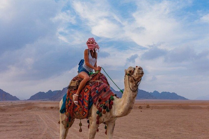 ATV Quad Bike, Buggy & Camel Ride – Echo Mountain Sharm El Sheikh 4