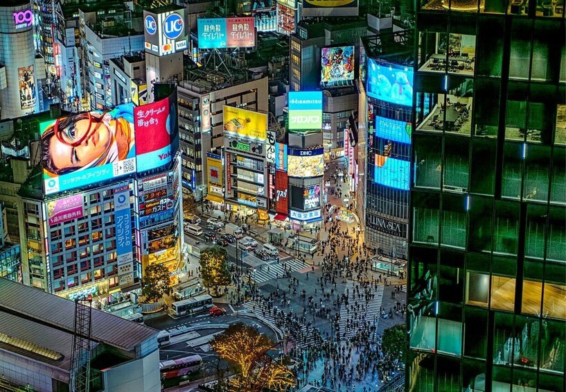 Picture 17 for Activity Tokyo: Private Luxury Day Tour with Hotel Pickup and DropOff 2