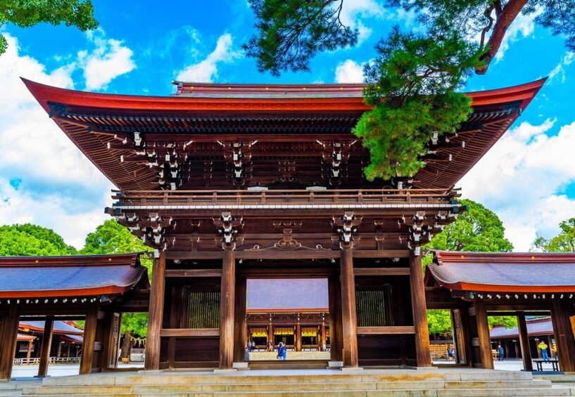 Picture 12 for Activity Tokyo: Private Luxury Day Tour with Hotel Pickup and DropOff 3