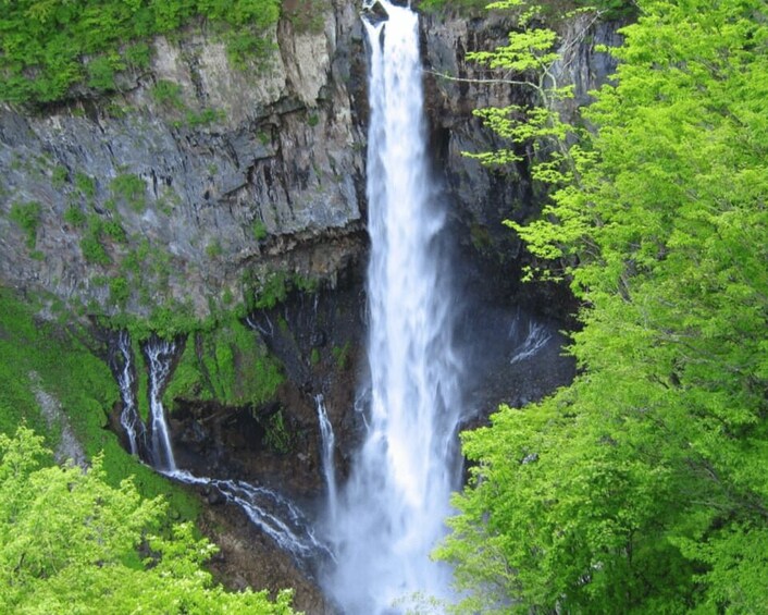 Picture 15 for Activity From Tokyo: Nikko Private Day Trip with Guide and Pickup 3
