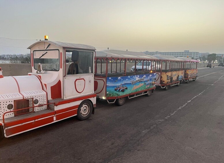 Picture 10 for Activity Hammamet: Catamaran Cruise & Hotel Pickup & fruits and drink 2