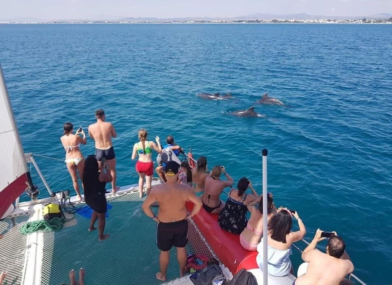 Hammamet: Catamaran Cruise & Hotel Pickup & fruits and drink 1