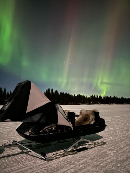 A dog sled with a dog on a snowy landscape under the northern lights. 5