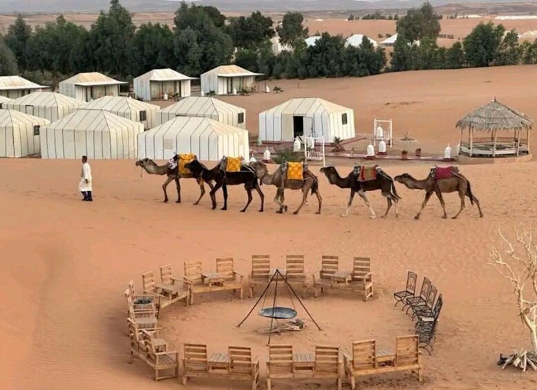A desert landscape with tents and camels. 1