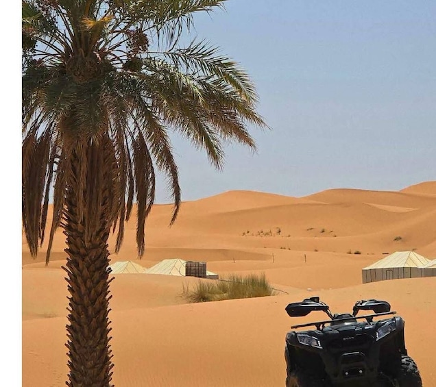 From Djerba: Douz, Matmata Star Wars Sites & local market 2