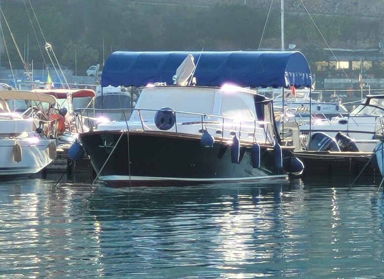 A black boat with a blue canopy docked at a marina with other boats. 1