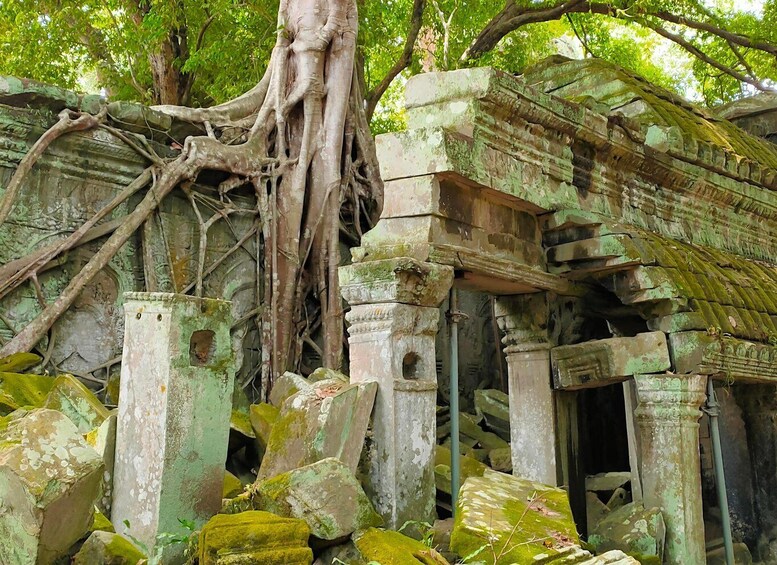 Picture 4 for Activity Angkor: 2-Day Private Tour in Spanish – Secret Temples and Banteay Srei 4