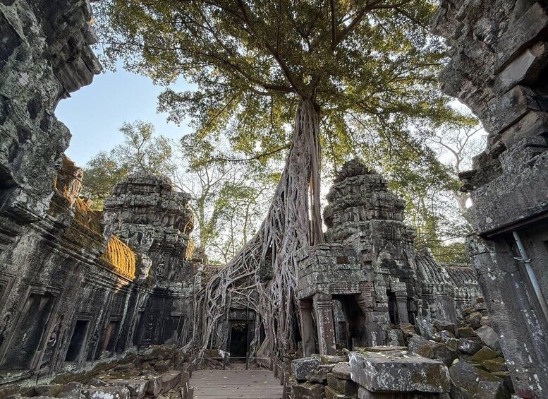 An ancient temple with intricate carvings and a large tree with extensive roots. 1