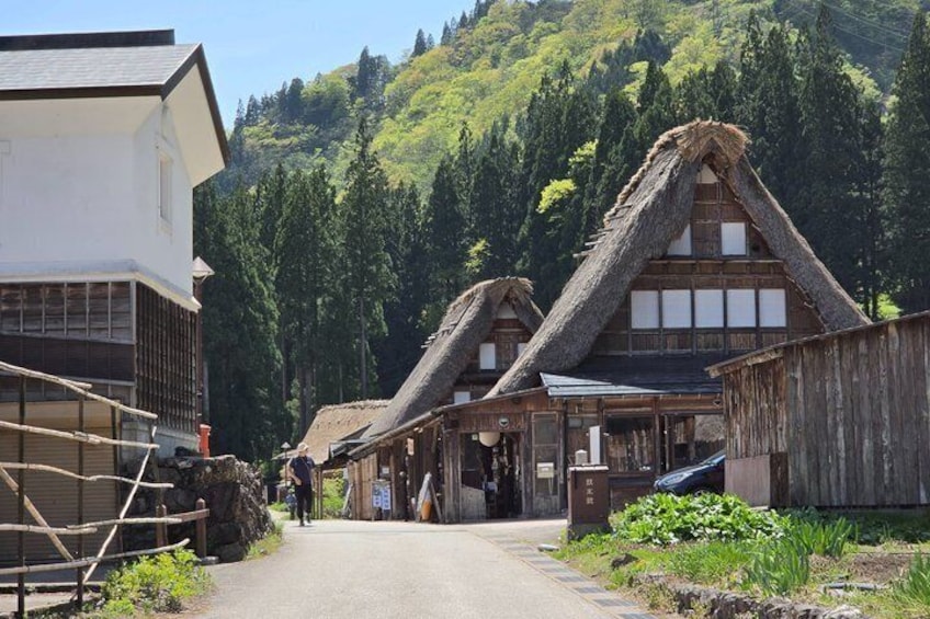 A traditional village with wooden houses and a paved road. 1