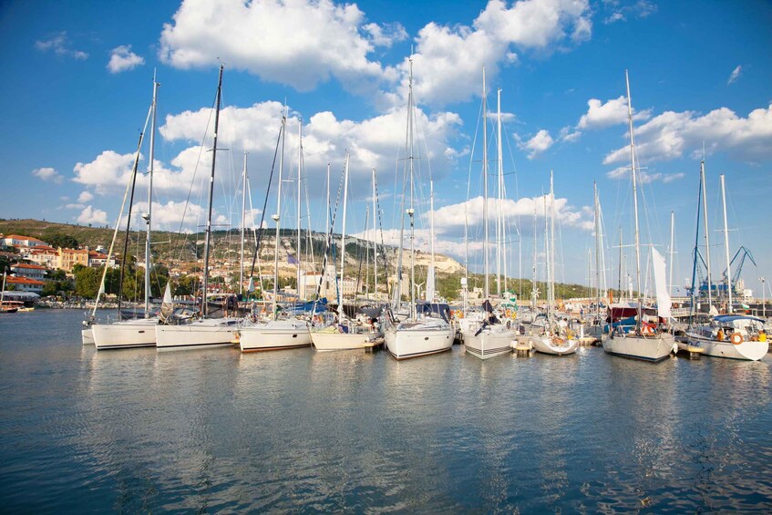 A marina with multiple sailboats docked, a clear blue sky, and a town in the background. 5