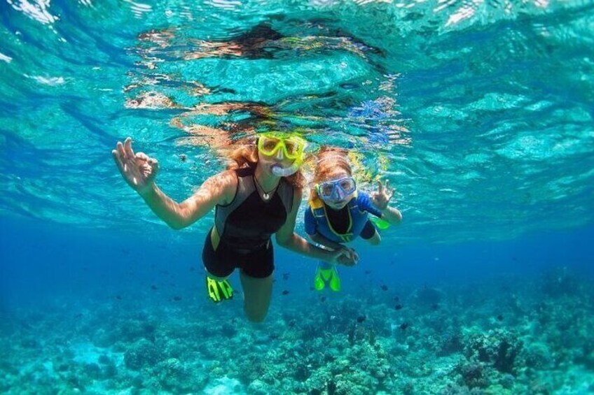 Två personer som snorklar under vattnet med korallrev i bakgrunden. 3
