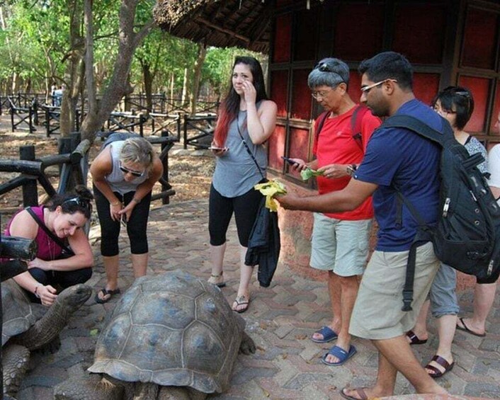 Un grupo de personas interactuando con una gran tortuga en un entorno natural, con estructuras de madera al fondo. 2