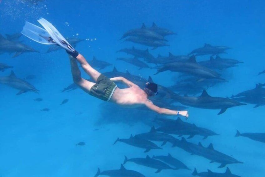 Iemand snorkelt met vinnetjes en masker, omringd door een zwerm vissen. 3
