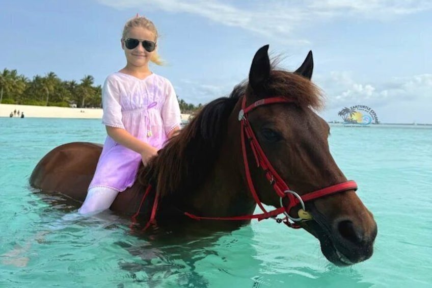 Eine Person reitet ein Pferd in klarem türkisblauem Wasser, mit einem Strand und Palmen im Hintergrund. 4