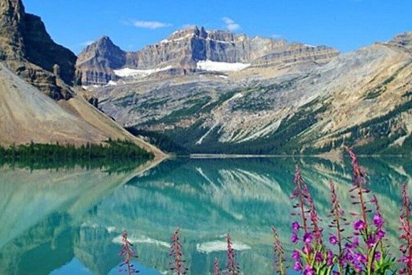 A mountain lake with reflections, mountains, and purple flowers in the foreground. 4