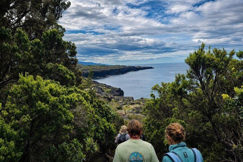 A coastal landscape with dense greenery and rocky cliffs overlooking the sea. 1
