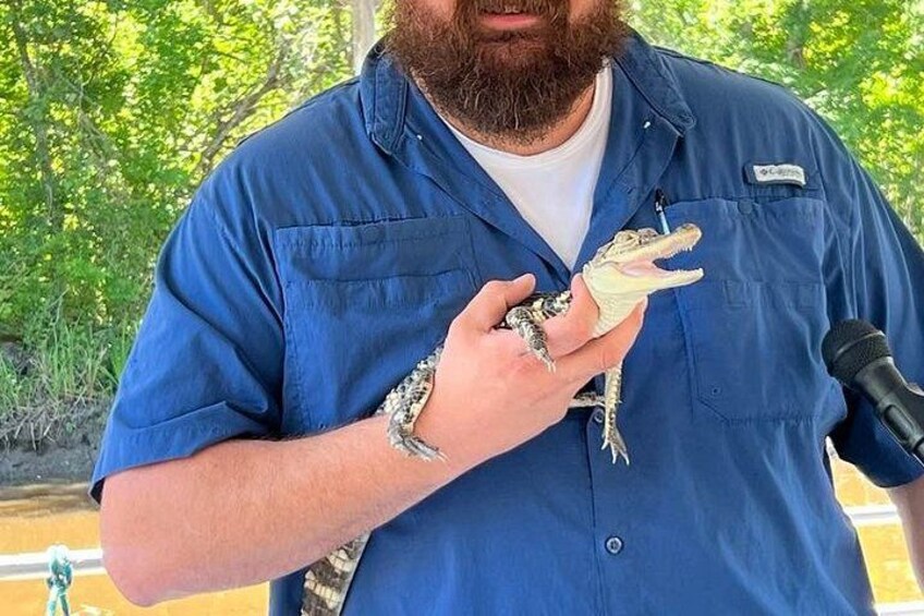 A person in a blue shirt holding a lizard. 5