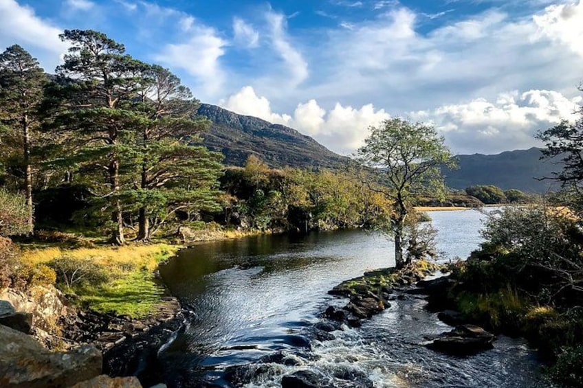 A river flowing through a forested valley with mountains in the background. 2