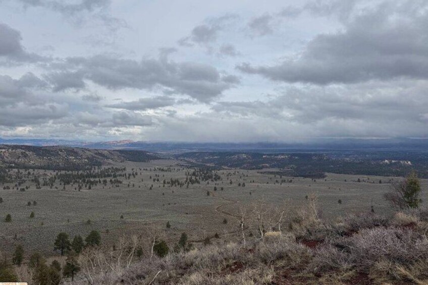 A vast open field with scattered trees and distant hills under a cloudy sky. 4