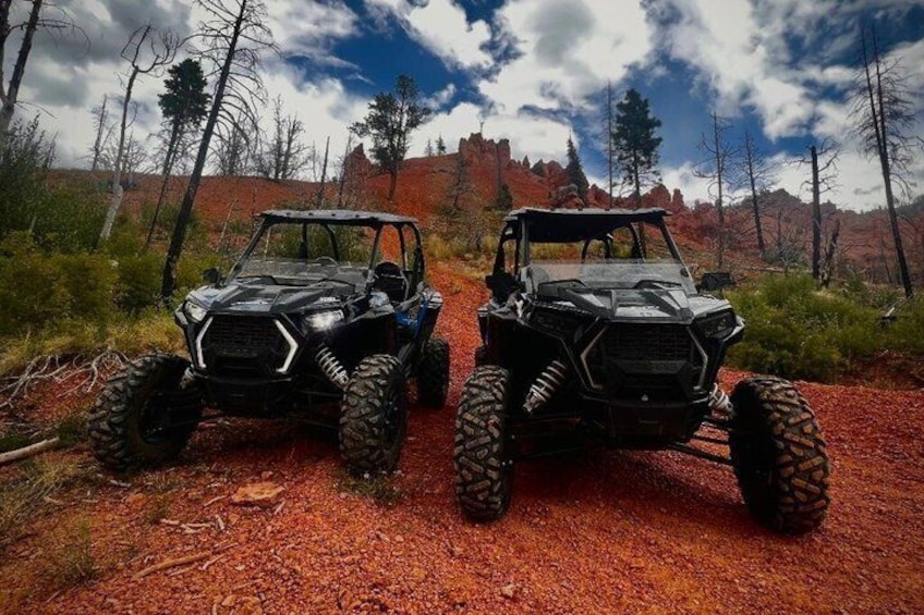 Two off-road vehicles on a dirt path with red rock formations and sparse vegetation in the background. 1