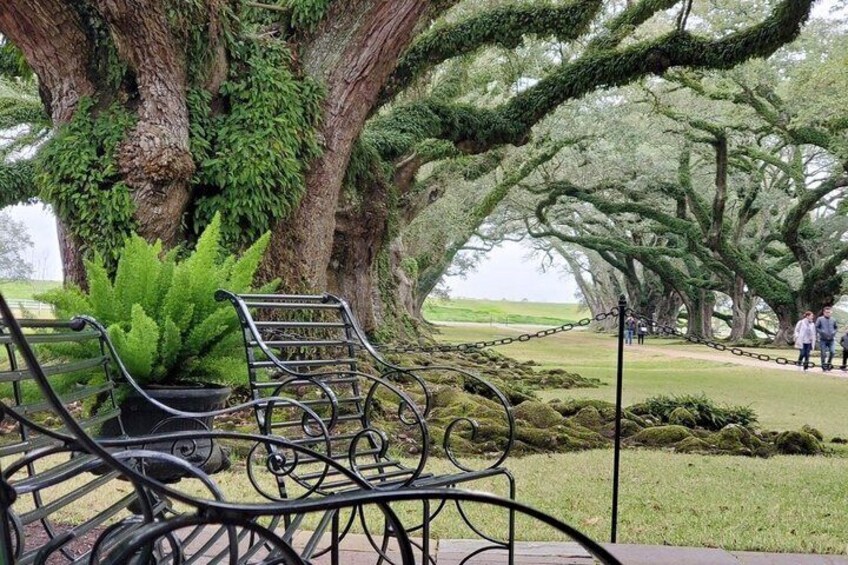 A park with a large tree, a bench, and a chain-link fence. 4