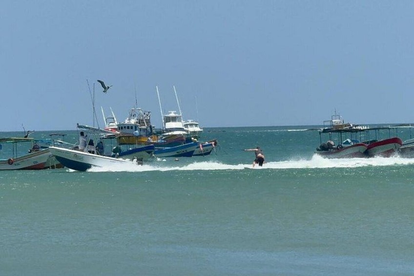 A body of water with several boats, a person wakeboarding, and a bird flying. 3