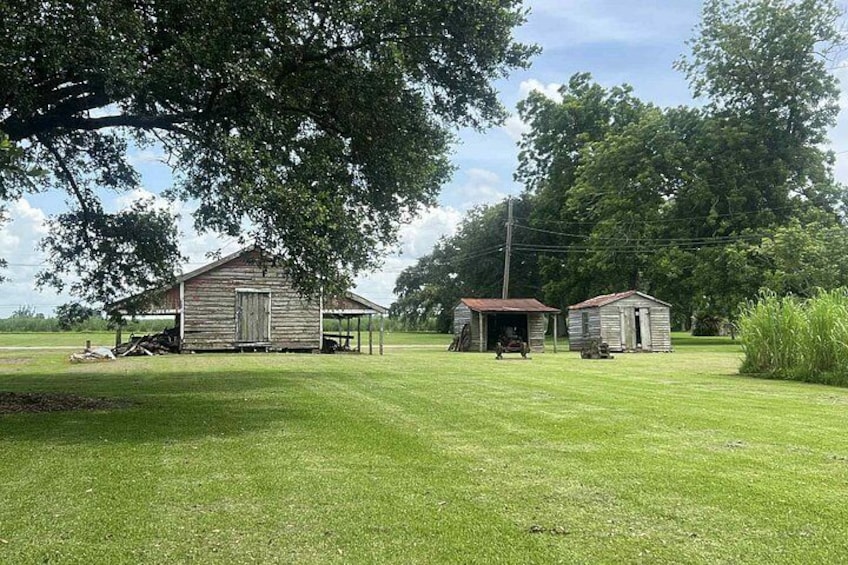 A grassy field with two wooden structures, one larger and one smaller, under a large tree. 5