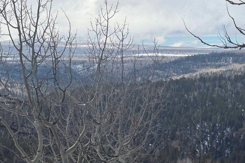 A mountainous landscape with leafless trees and a distant view of a snow-covered area. 4