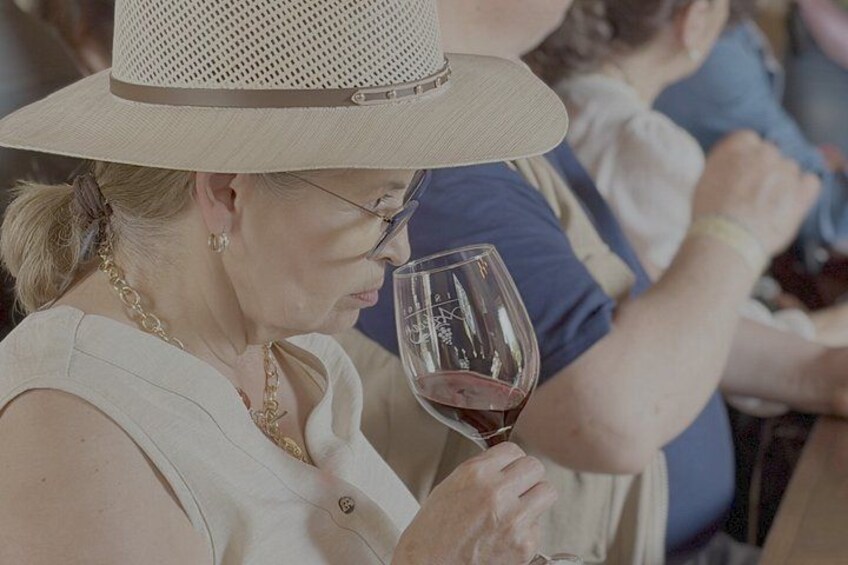 Wine experience in Tequisquiapan with vineyards and Pueblo Magico 2