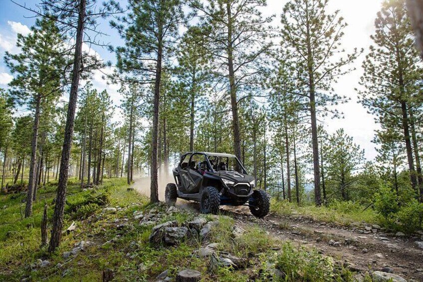 A vehicle navigating a forest trail. 2