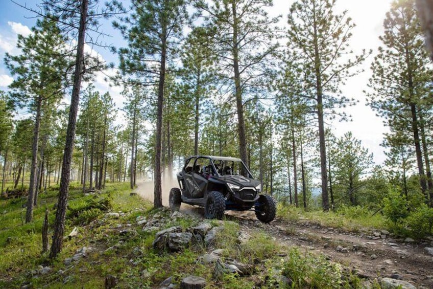 A vehicle navigating a forest trail. 2