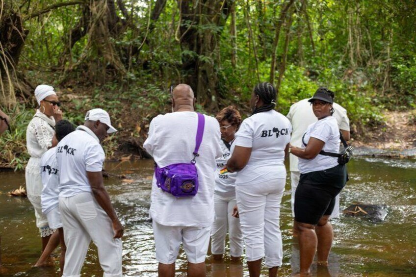 A group of people standing in a shallow river surrounded by dense greenery. 5