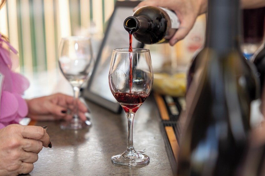 Private Malbec Wine Tasting Experience in Buenos Aires 3