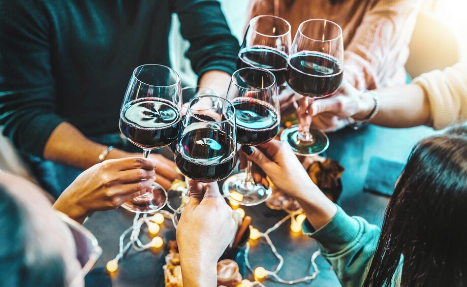 Private Malbec Wine Tasting Experience in Buenos Aires 4